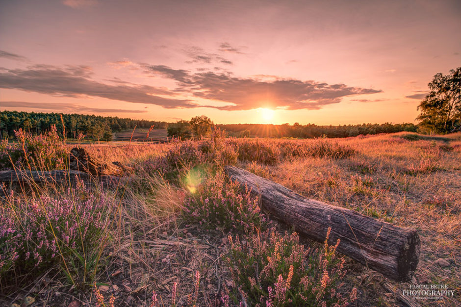 fischbeker heide sonnenuntergang