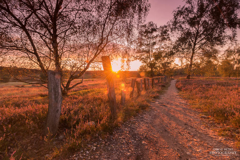 fischbeker heide sonnenuntergang